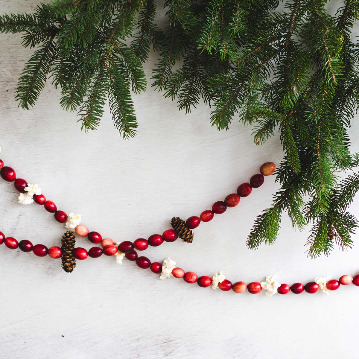 guirlande-canneberge-fraiche-fresh-cranberry-garland