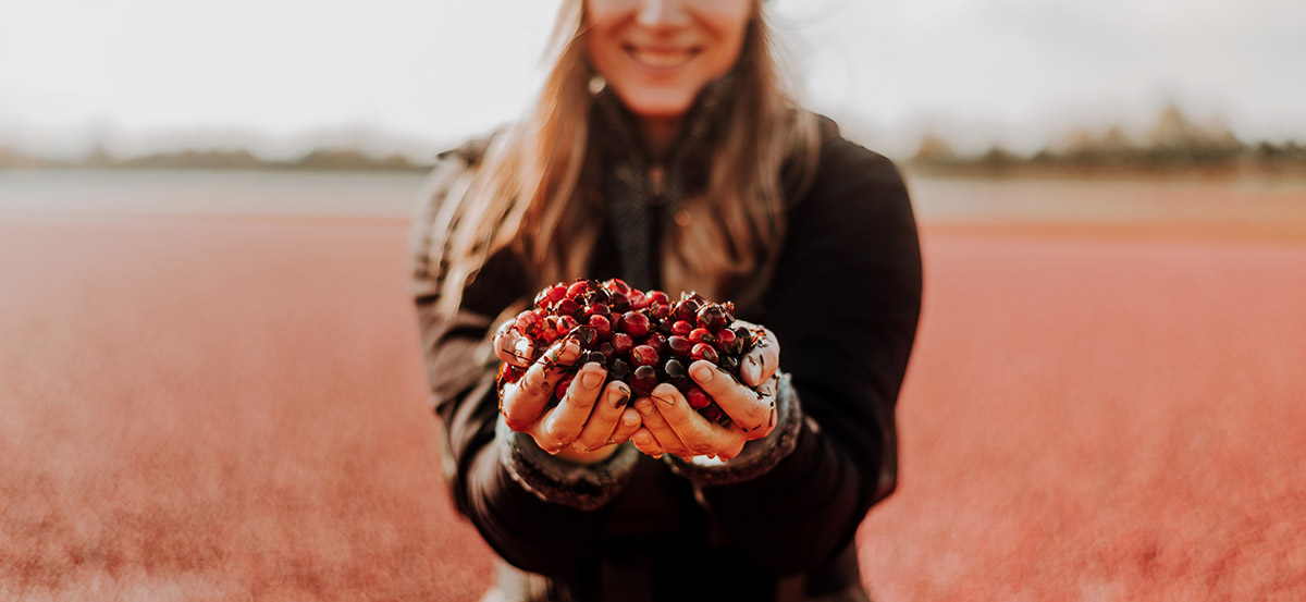 main_canneberge_champs_durable_hand_cranberry_sustainable