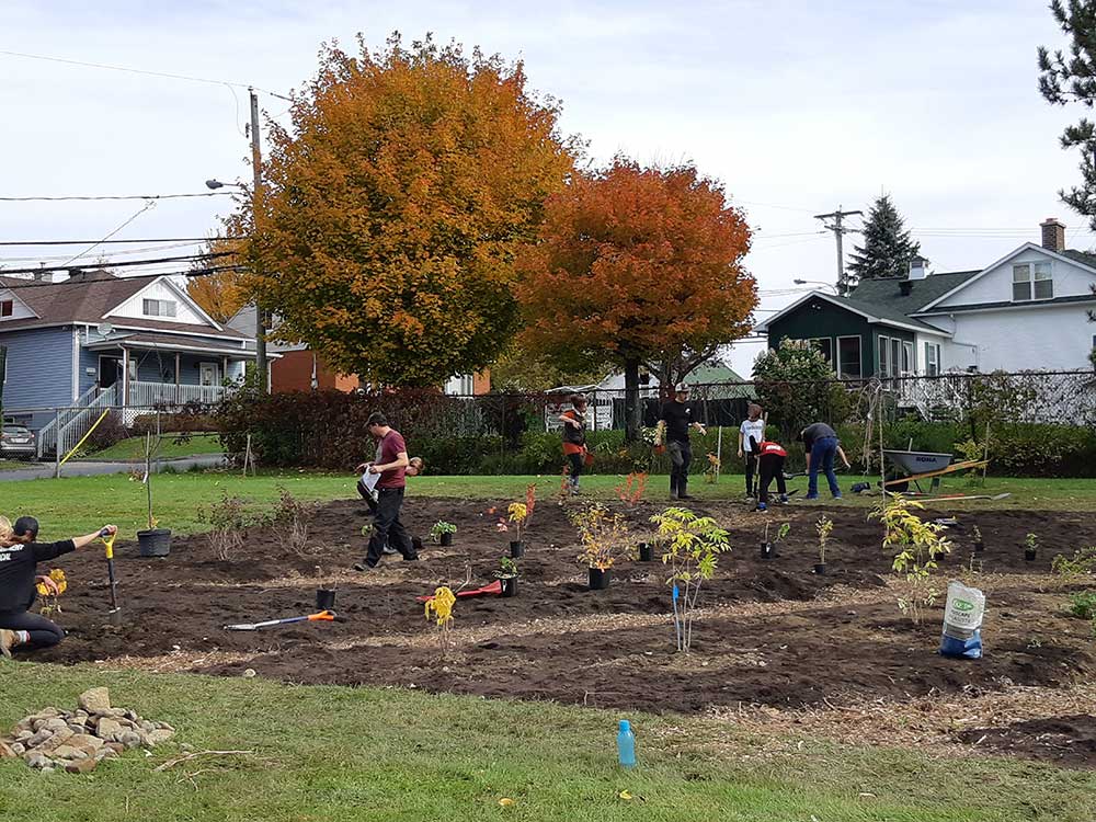 plantation-arbre-evolution-2019