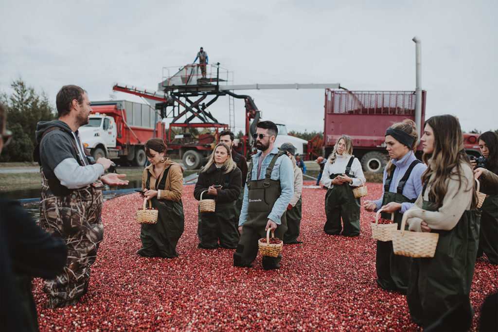 recolte_harvest_canneberges_cranberries_gratitude_simon_pamela_lajeunesse