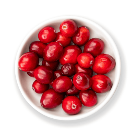 Canneberge qui sert à faire les bonbons aux fruits